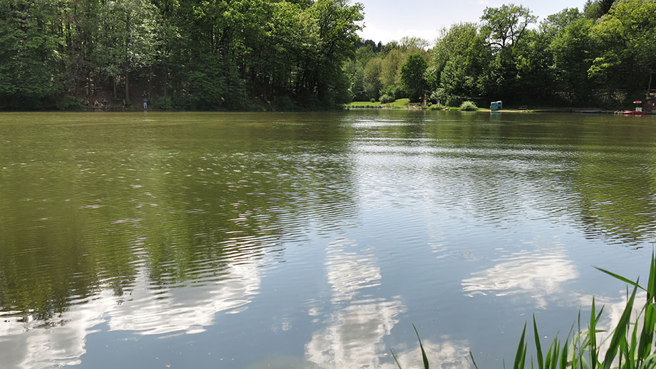 Spaziergang-Anfang, am Thalersee. Foto: ©Auferbauer