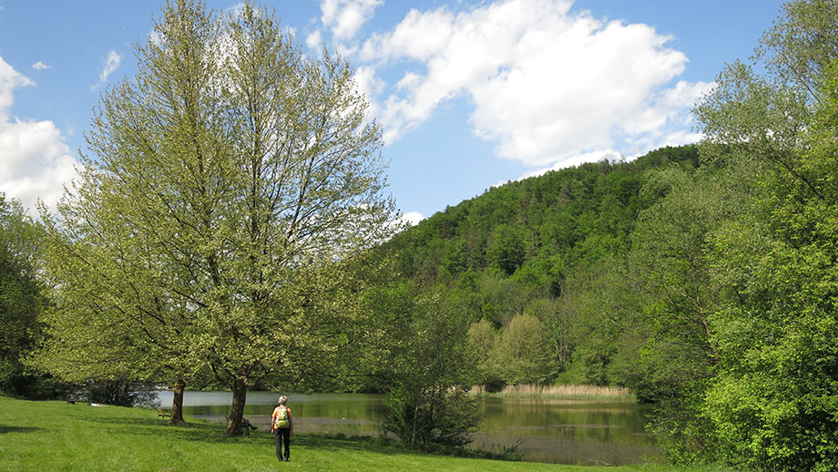 Den Thalersee umrunden, Schritt für Schritt, Pause um Pause. Foto: ©Auferbauer