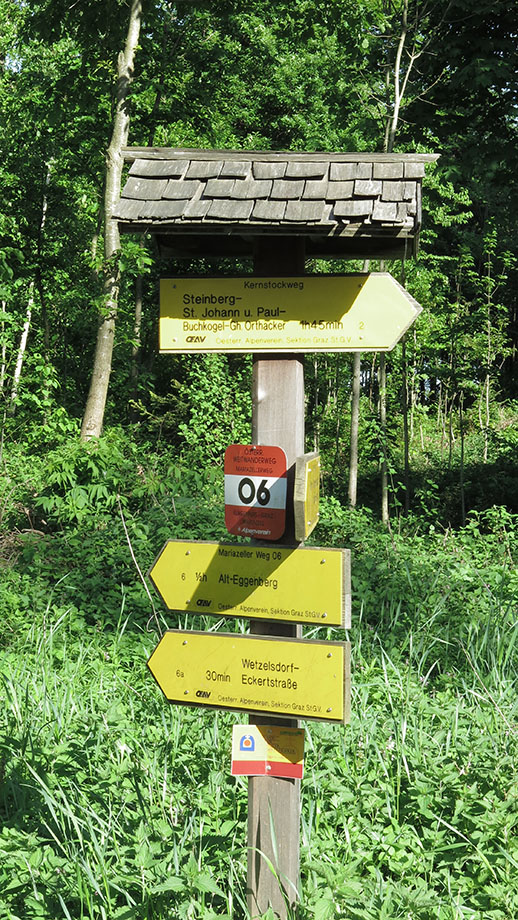 Im Gaisbergsattel (527 m). Foto: ©Auferbauer