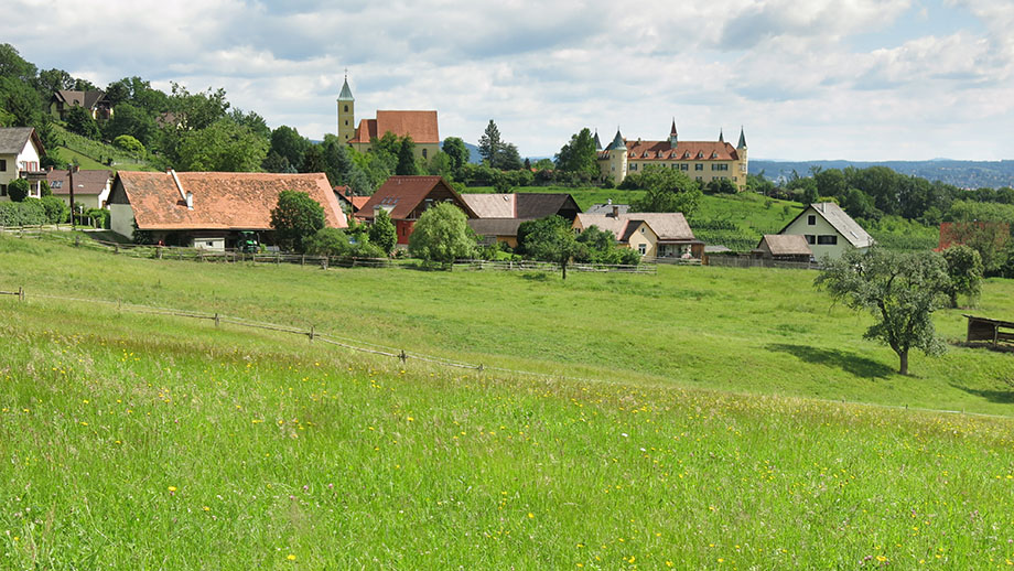 Von Kehlberg zu Schlosskirche und Schloss St. Martin. Foto: ©Auferbauer