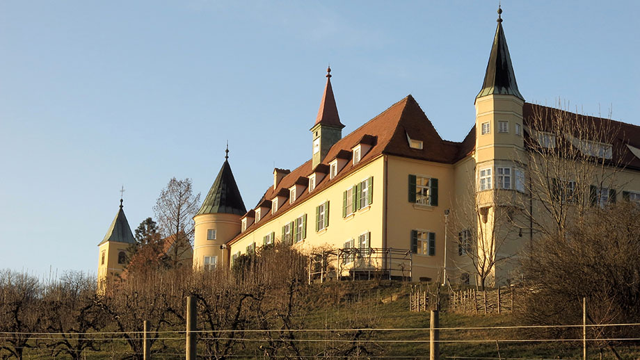 Schloss St. Martin, Westseite. Foto: ©Auferbauer