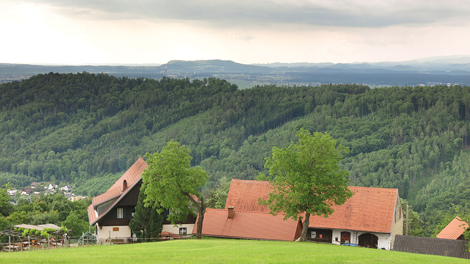 Gasthaus Orthacker, Richtung Wildoner Berg. Foto: ©Auferbauer