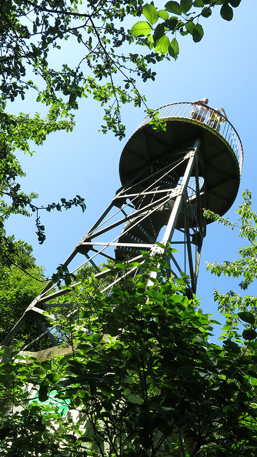 Die Rudolfswarte auf dem Buchkogel (656 m). Foto: ©Auferbauer