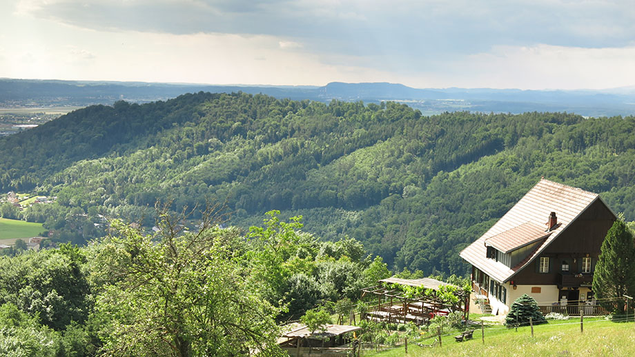 Vom Gasthaus Orthacker in Richtung Florianiberg (links), im Süden der Wildoner Berg. Foto: ©Auferbauer