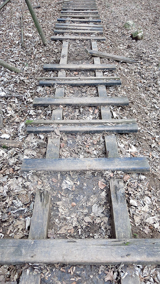 Lokalaugenschein vom 10. Jänner 2015: Hangtreppe  am Oarcherlsteig. Foto: ©Auferbauer