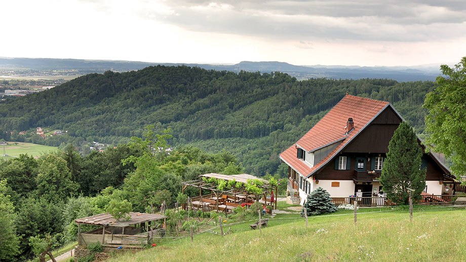 Gasthaus Orthacker, Spaziergang-Fortsetzung in Richtung Bildföhre. Foto: ©Auferbauer