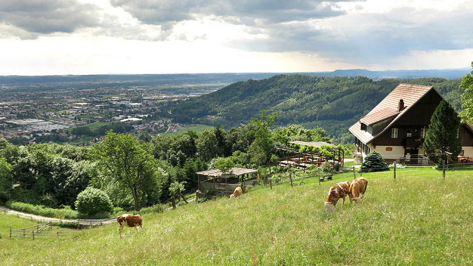 Gasthaus Orthacker, Florianiberg in Bildmitte, Wildoner Berg am Horizont. Foto: ©Auferbauer