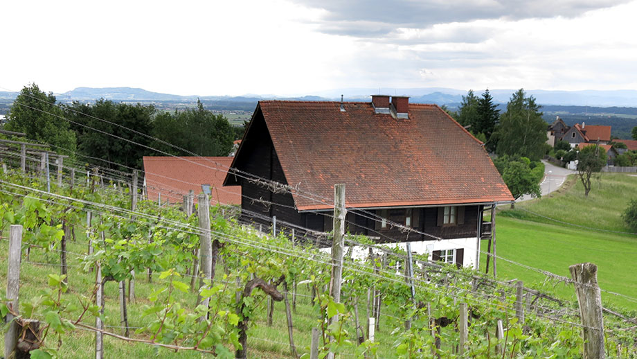 In Gedersberg. Foto: ©Auferbauer