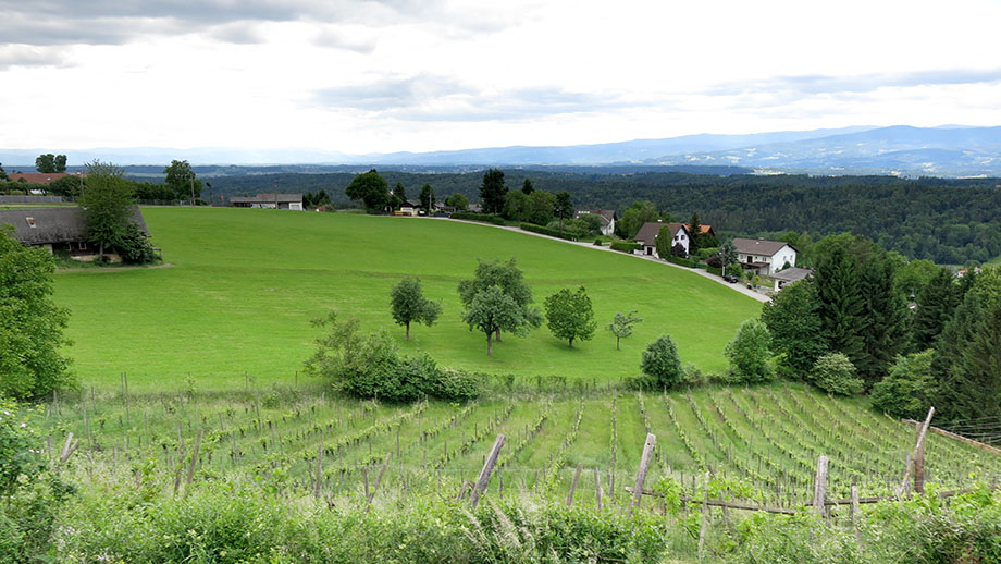 In Gedersberg. Foto: ©Auferbauer