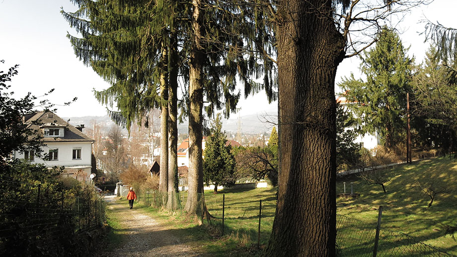 Der Weg vor Ulrichsbrunn. Foto: ©Auferbauer