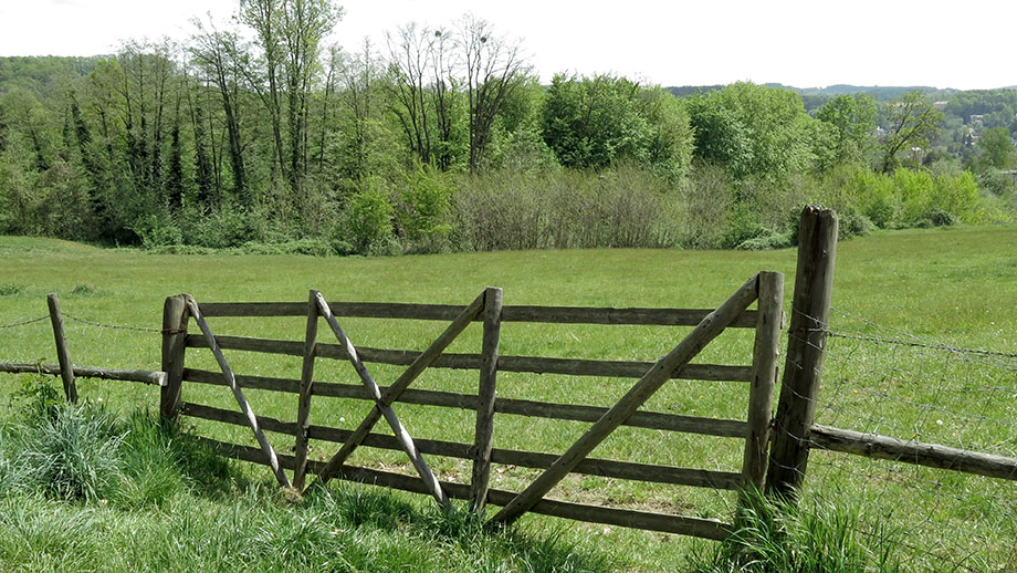 Weidegrund am Rosenberg, die Franzosenwiese am Schwarzbauerweg. Foto: ©Auferbauer