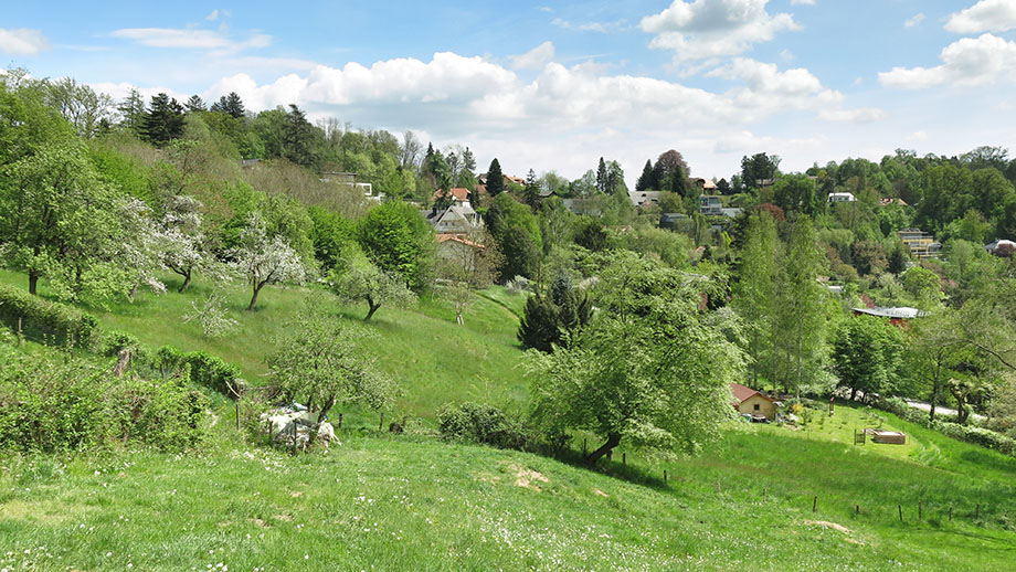 Einladend, der Rosenberg und dessen Sonnseite. Foto: ©Auferbauer