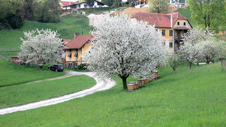 Grabenhofen. Foto: ©Auferbauer