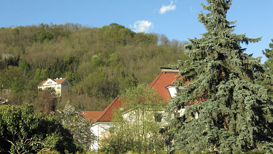 Am Spaziergang-Endpunkt: Aus der Robert-Stolz-Gasse zum Reinerkogel. Foto: ©Auferbauer