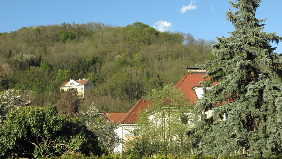 Vorschau zwei, vom Schloßberg Richtung Reinerkogel (Mitte). Foto: ©Auferbauer