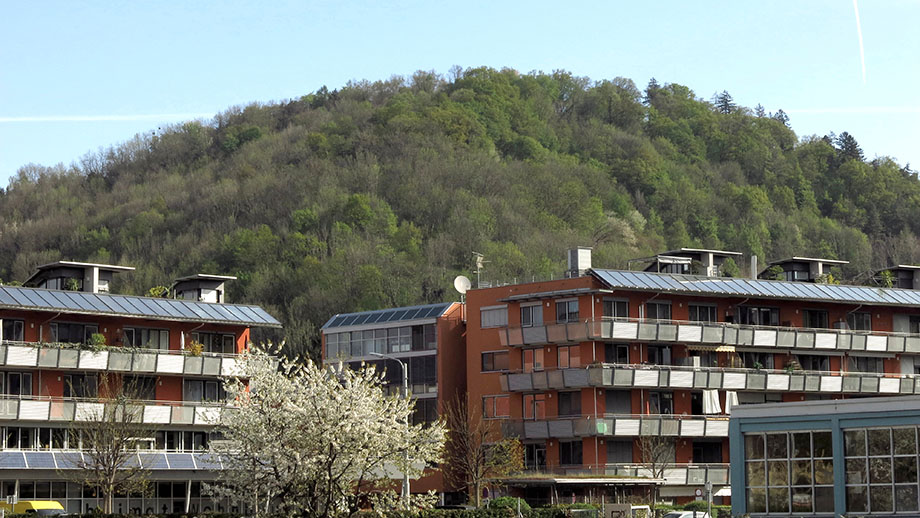 Aus der Theodor-Körner-Straße zum Reinerkogel. Foto: ©Auferbauer