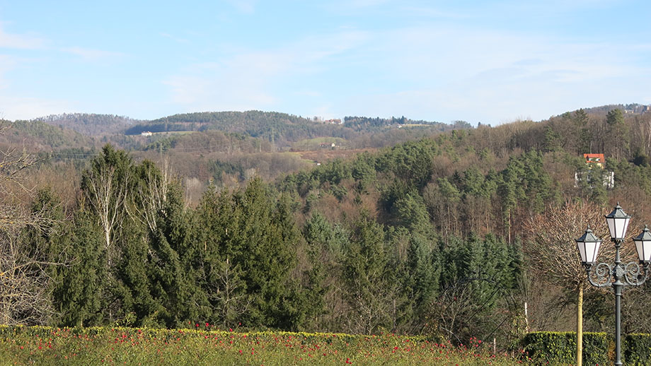 Aus der Saumgasse in Richtung Pfangberg (640 m). Foto: ©Auferbauer