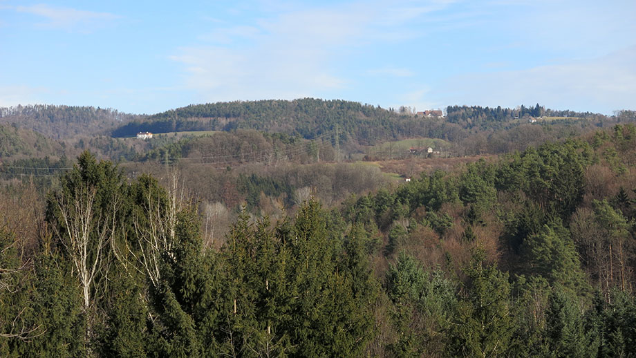 Aus der Saumgasse in Richtung Pfangberg (640 m) und Platte (651 m). Foto: ©Auferbauer