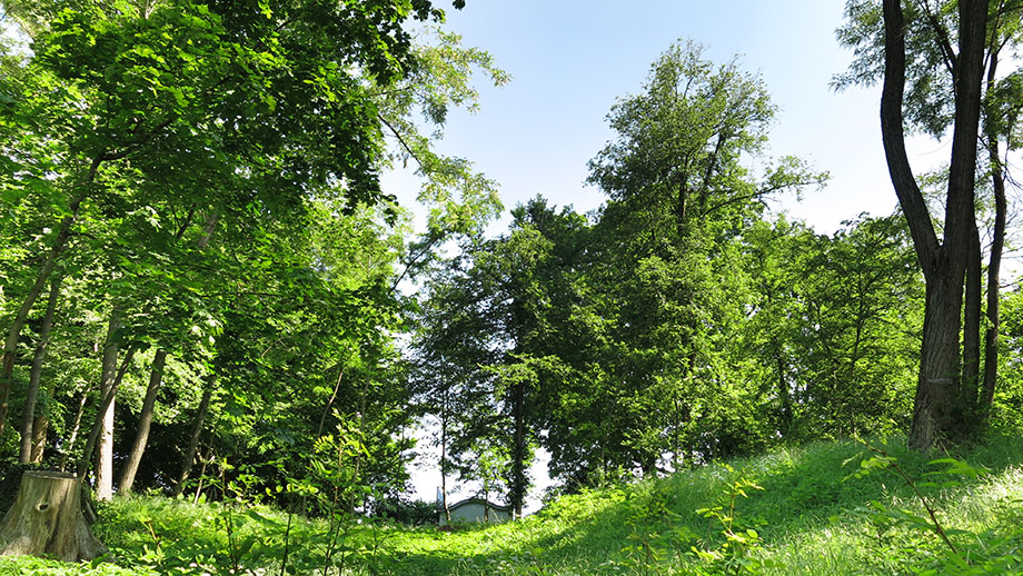 An der Ferdinandshöhe (490 m). Foto: ©Auferbauer