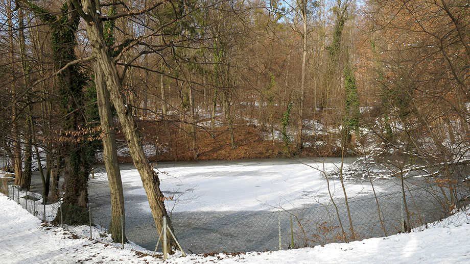 Rosenhain, der zweite Teich. Foto: ©Auferbauer