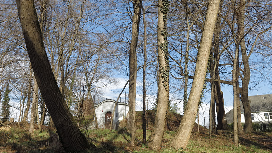 Ferdinandshöhe (490 m) mit Hochbehälter Rosenberg. Foto: ©Auferbauer