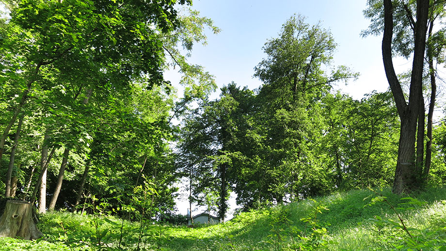 Rastpunkt Ferdinandshöhe (490 m). Foto: ©Auferbauer