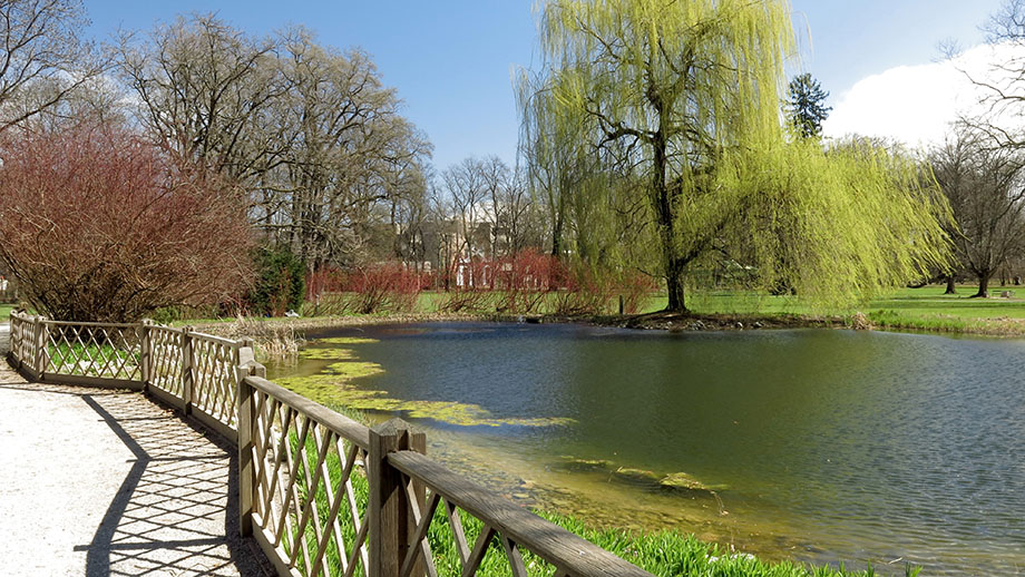 Der Schlosspark ist ganzjährig geöffnet. Foto: ©Auferbauer