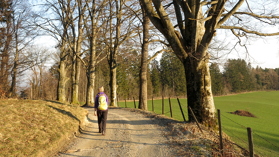 St. Radegund, Isenrode-Weg. Foto: ©Auferbauer