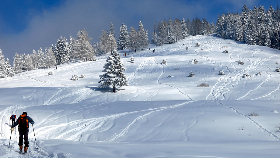 Winterfreude: Aus dem Schöcklsattel (1189 m) die Schöcklschneid bergan. Foto: ©Auferbauer