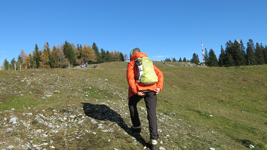 Sommerfreude: Aus dem Schöcklsattel (1189 m) die Schöcklschneid bergan. Foto: ©Auferbauer