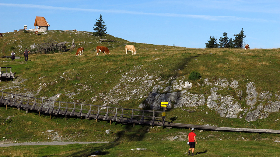 Schöckl-Ostgipfel, Schöcklkopf (1423 m) Richtung Schöcklkapelle (1435 m). Foto: ©Auferbauer