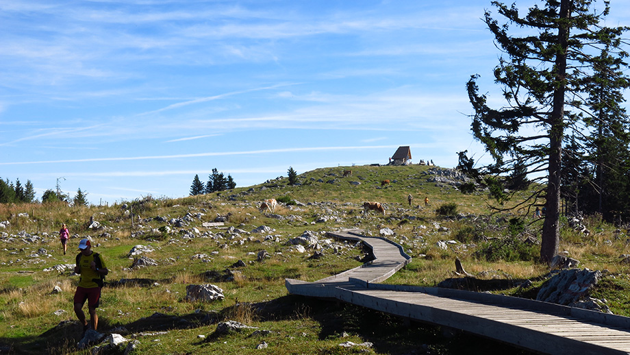 Am Weg für alle, Richtung Schöcklkapelle (1435 m). Foto: ©Auferbauer