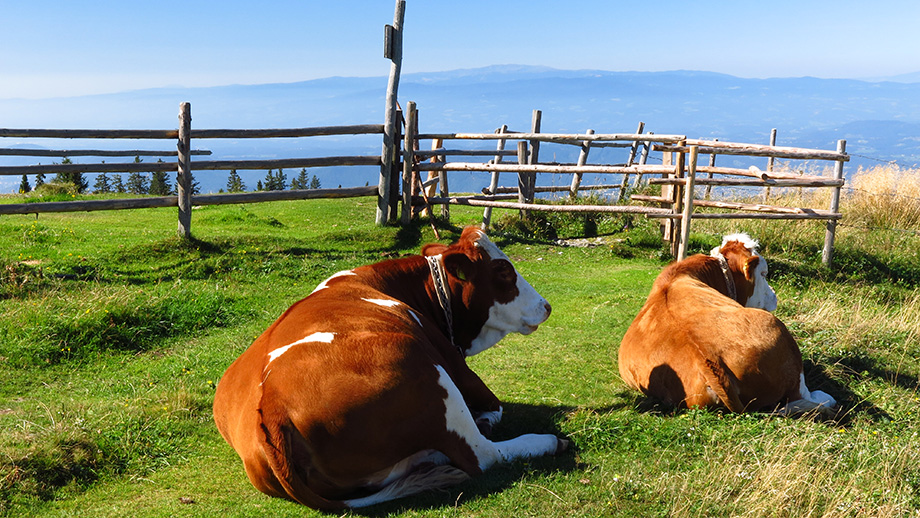 Alm-Sphäre, nahe am Schöckl-Gipfelkreuz (1438 m), im Horizont die Koralpe. Foto: ©Auferbauer