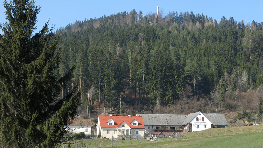 Novystein und Buschenschank Scheiklhof. Foto: ©Auferbauer