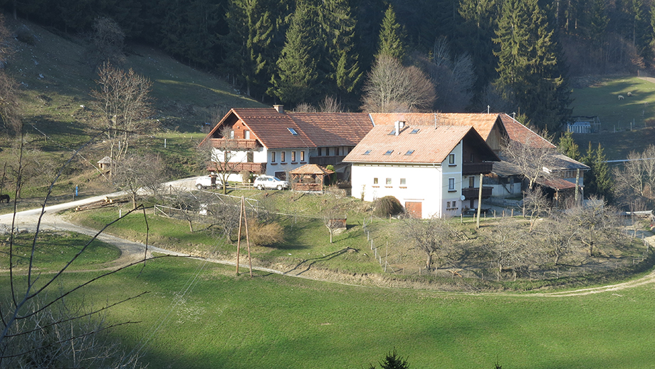 St. Radegund Klamm, Gehöft Stoffbauer, an der Ehrenfelsstraße. Foto: ©Auferbauer