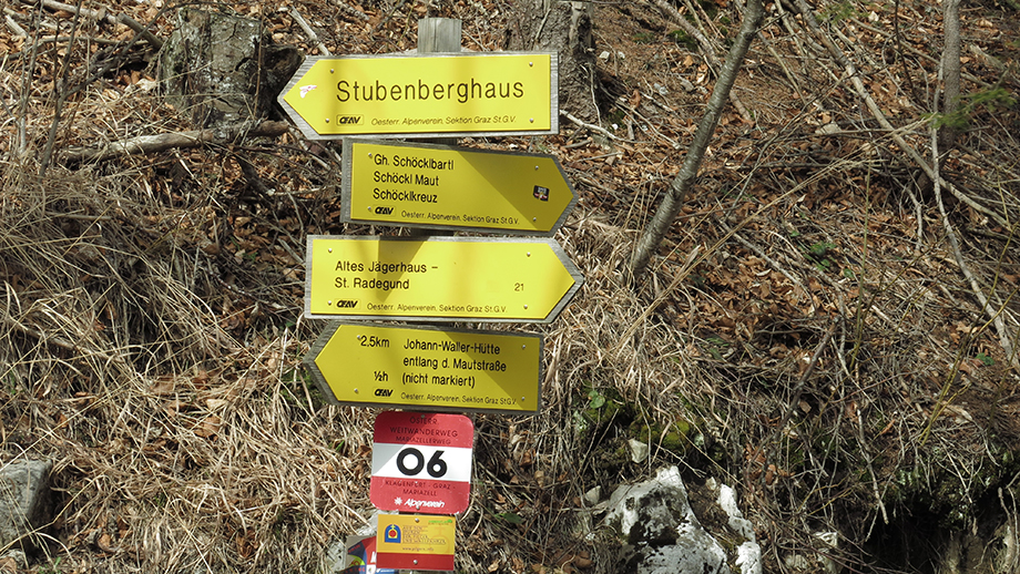 An der Schöckl-Mautstraße, Weggabel (1090 m). Foto: ©Auferbauer