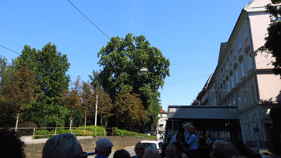 Glacisstraße, Stadtpark. Foto: ©Auferbauer