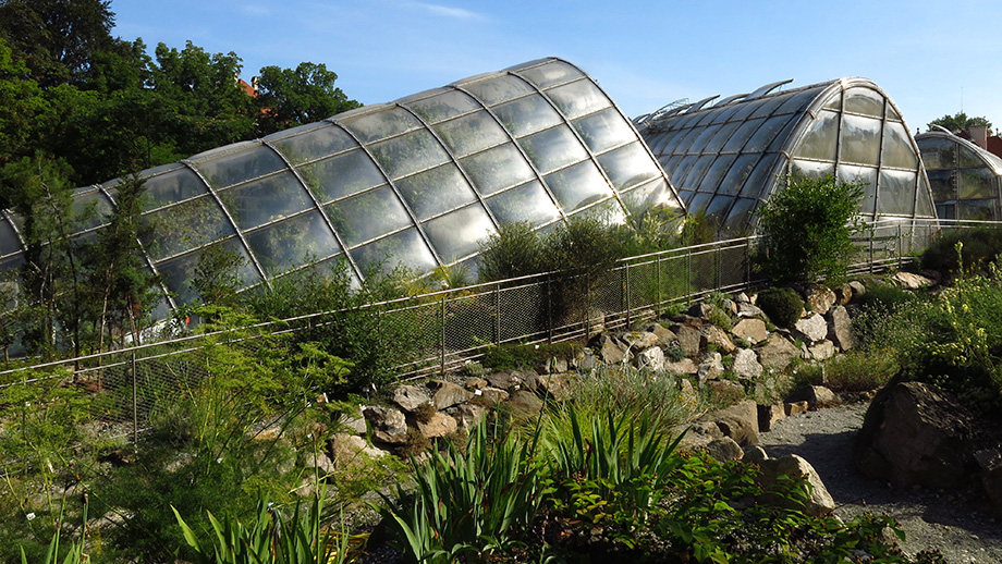 Botanischer Garten, Gewächshäuser. Foto: ©Auferbauer