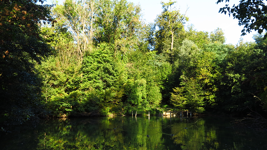 Am ersten Teich Im Rosenhain. Foto: ©Auferbauer