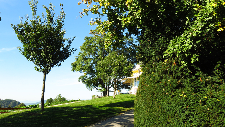 Von der Panoramagasse zum Cafè Rosenhain. Foto: ©Auferbauer