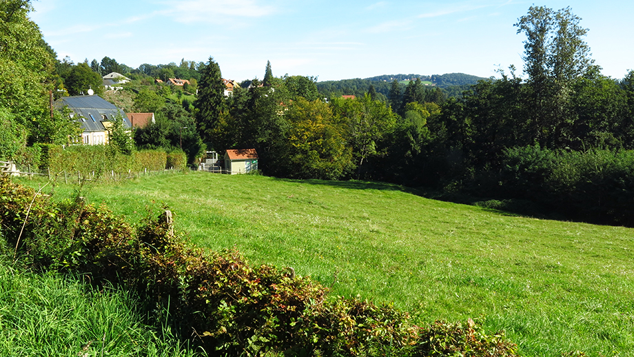 An der Schönbrunngasse, über die Franzosenwiese Richtung Platte (651 m). Foto: ©Auferbauer