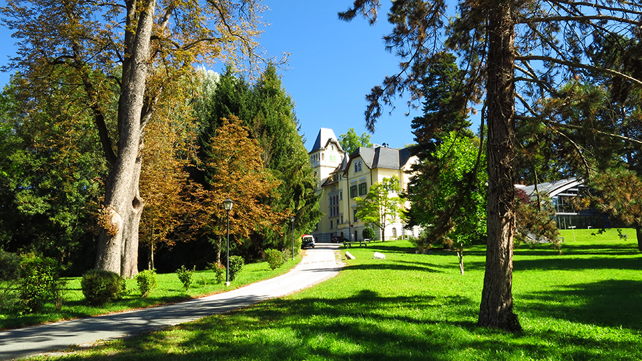 Zusertalgrund, Ferry-Schlössl, Fachhochschule Wirtschaft, Campus 02, Körblergasse 126. Foto: ©Auferbauer