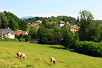 Rosenhain, Franzosen-kreuz u. Ferdinandshöhe