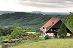 Ölberg, Buchkogel-Rundweg und Katzlbach