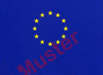 Beispielbild: EU-Flagge