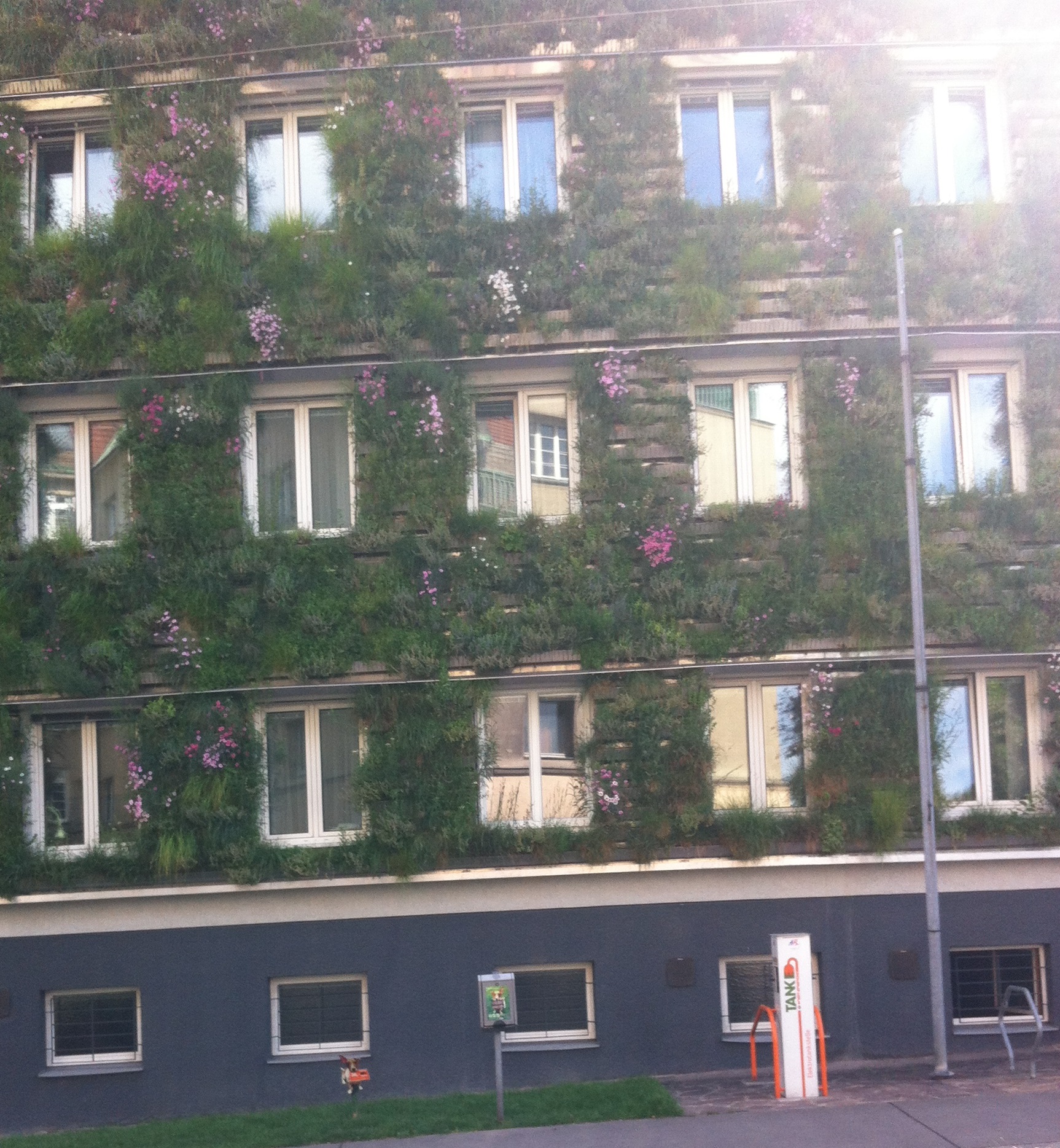 Foto: Beate Hechtl © Stadt Graz, Beate Hechtl Foto: Beate Hechtl