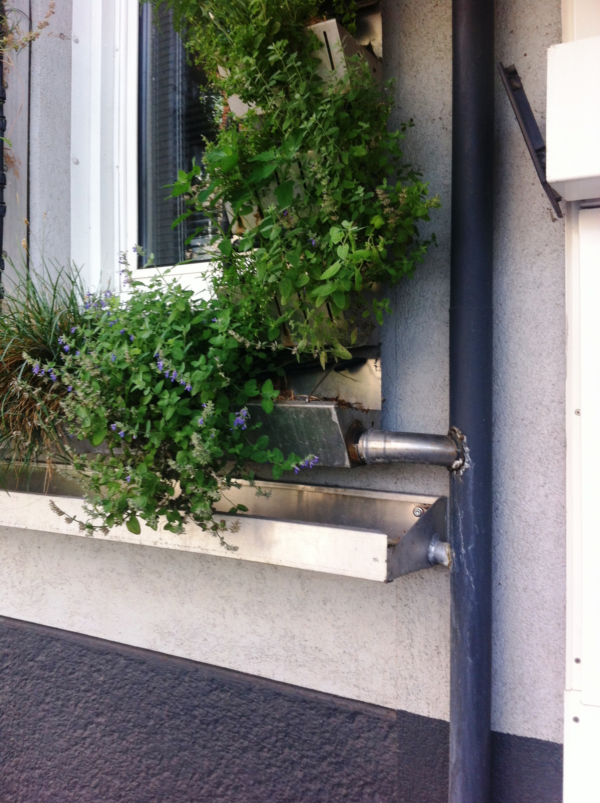 Foto: Beate Hechtl © Stadt Graz, Beate Hechtl Foto: Beate Hechtl