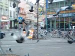 Tauben gehören zum Stadtbild dazu, sie verursachen aber auch hygienische Missstände. © Stadt Graz Tauben gehören zum Stadtbild dazu, sie verursachen aber auch hygienische Missstände.