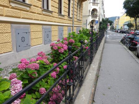 Vorgarten Humboldtstraße. Foto: Stadt Graz, Grünraum&Gewässer