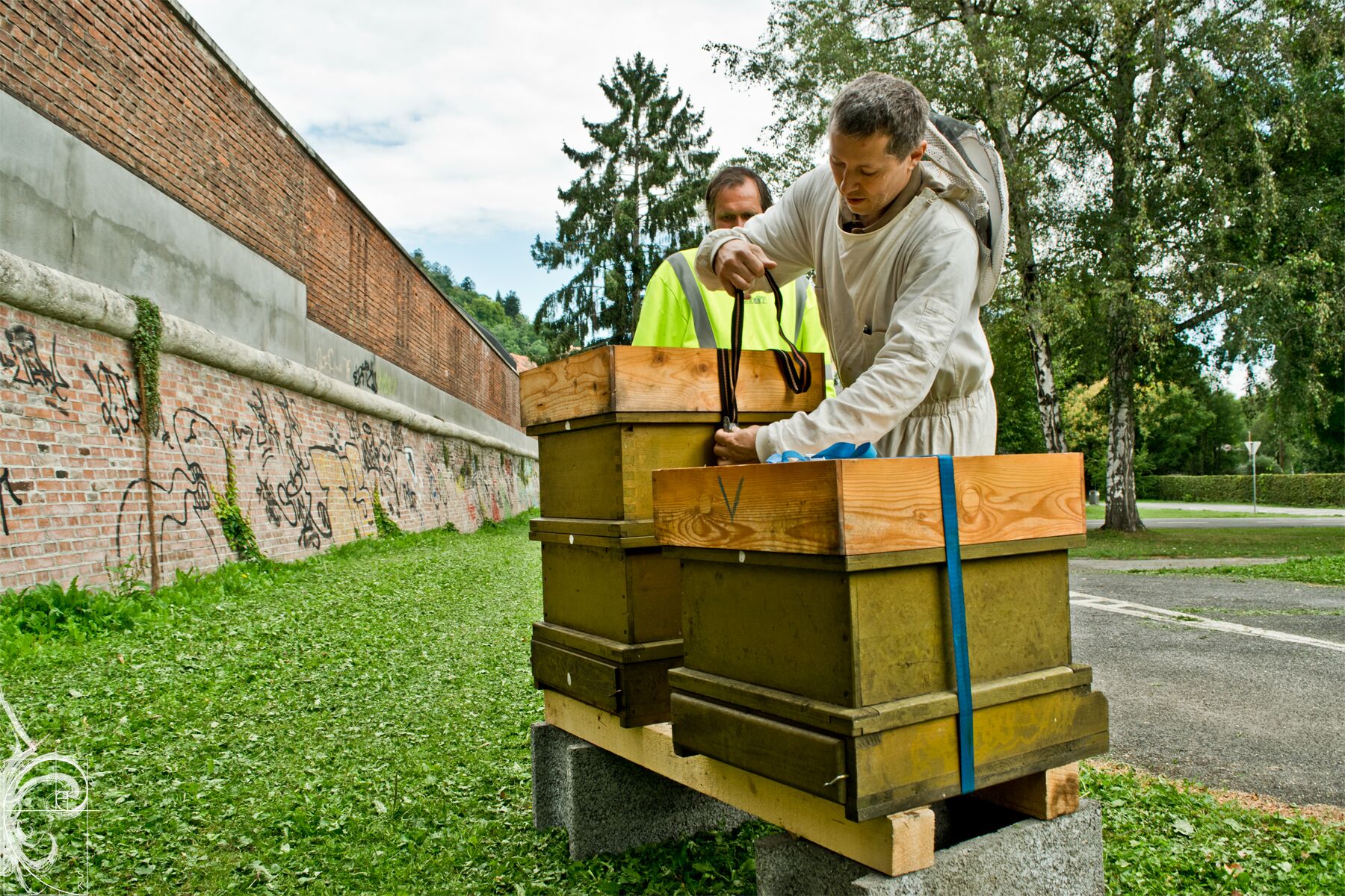 Unsere Bienenstöcke werden im Stadtpark aufgestellt.